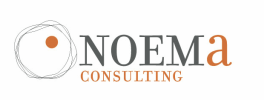 Noema consulting